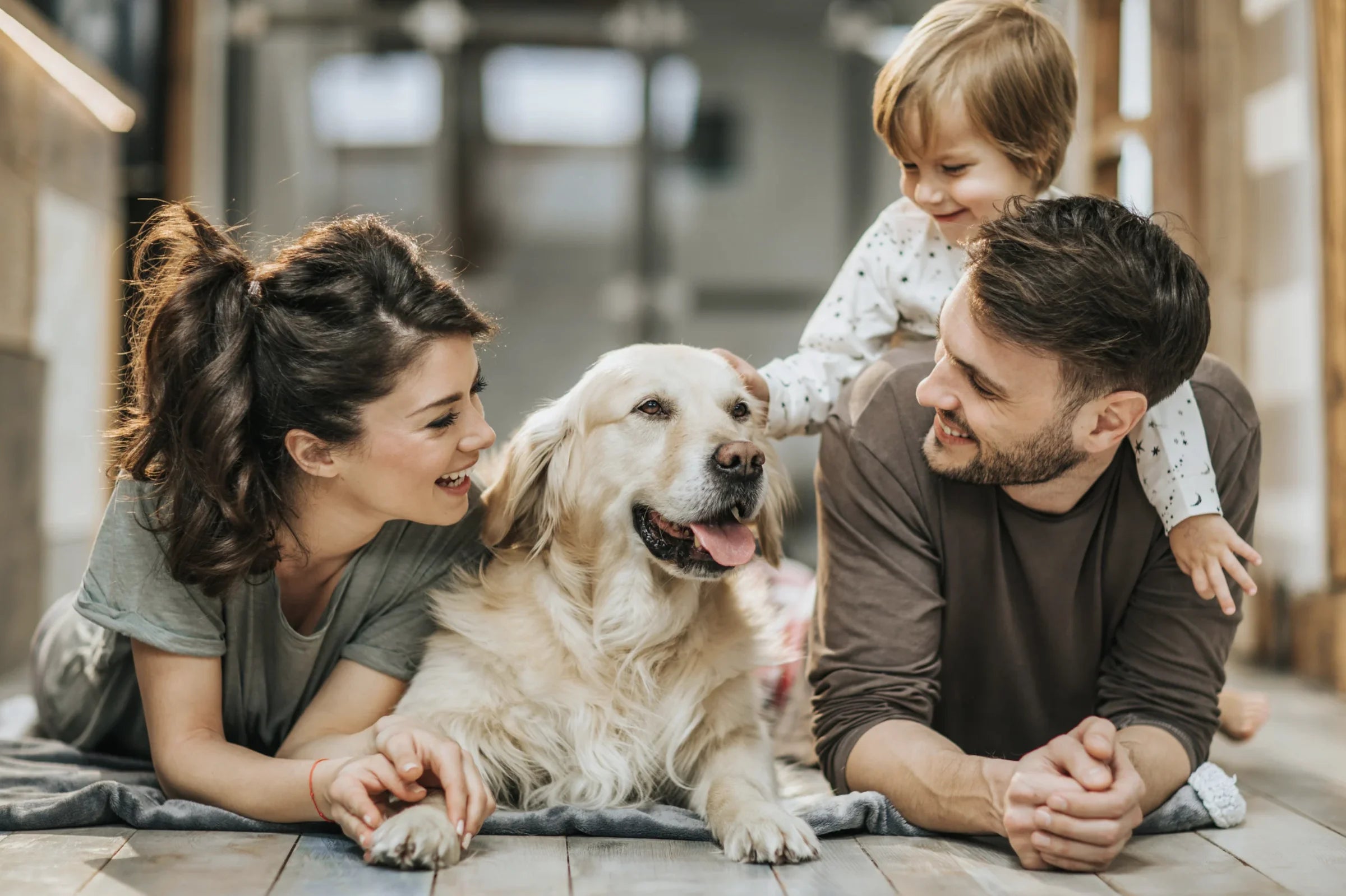 rawpetfooddeliverymarket