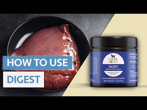 Load video: FOUR LEAF ROVER Digest - Digestive Enzyme & Probiotic