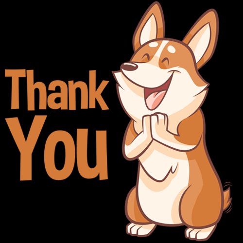 Grooming, Leashes & General Care