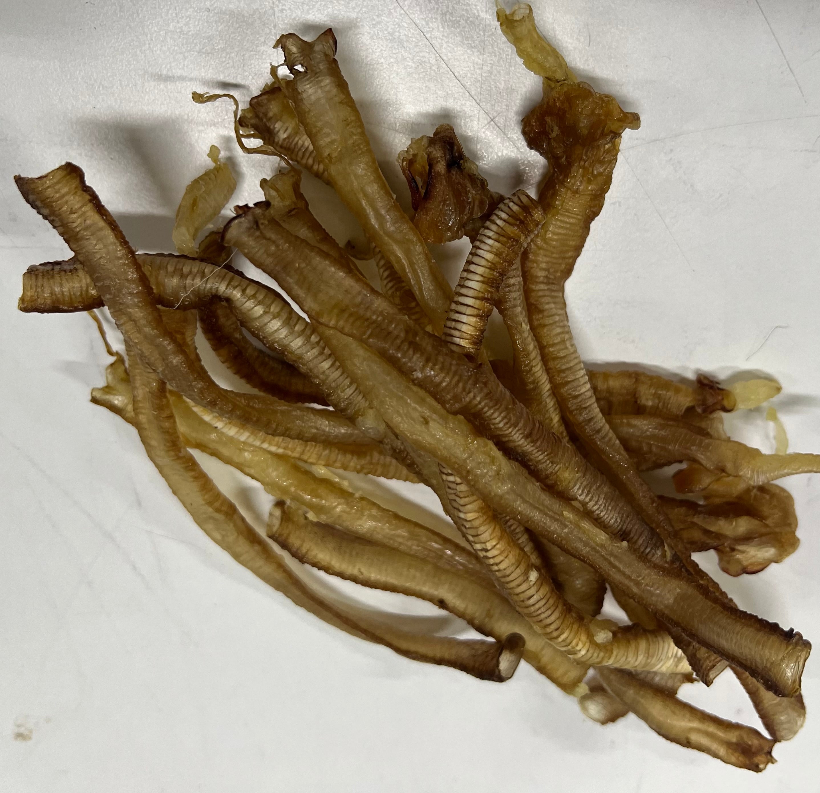 Duck Trachea Dehydrated