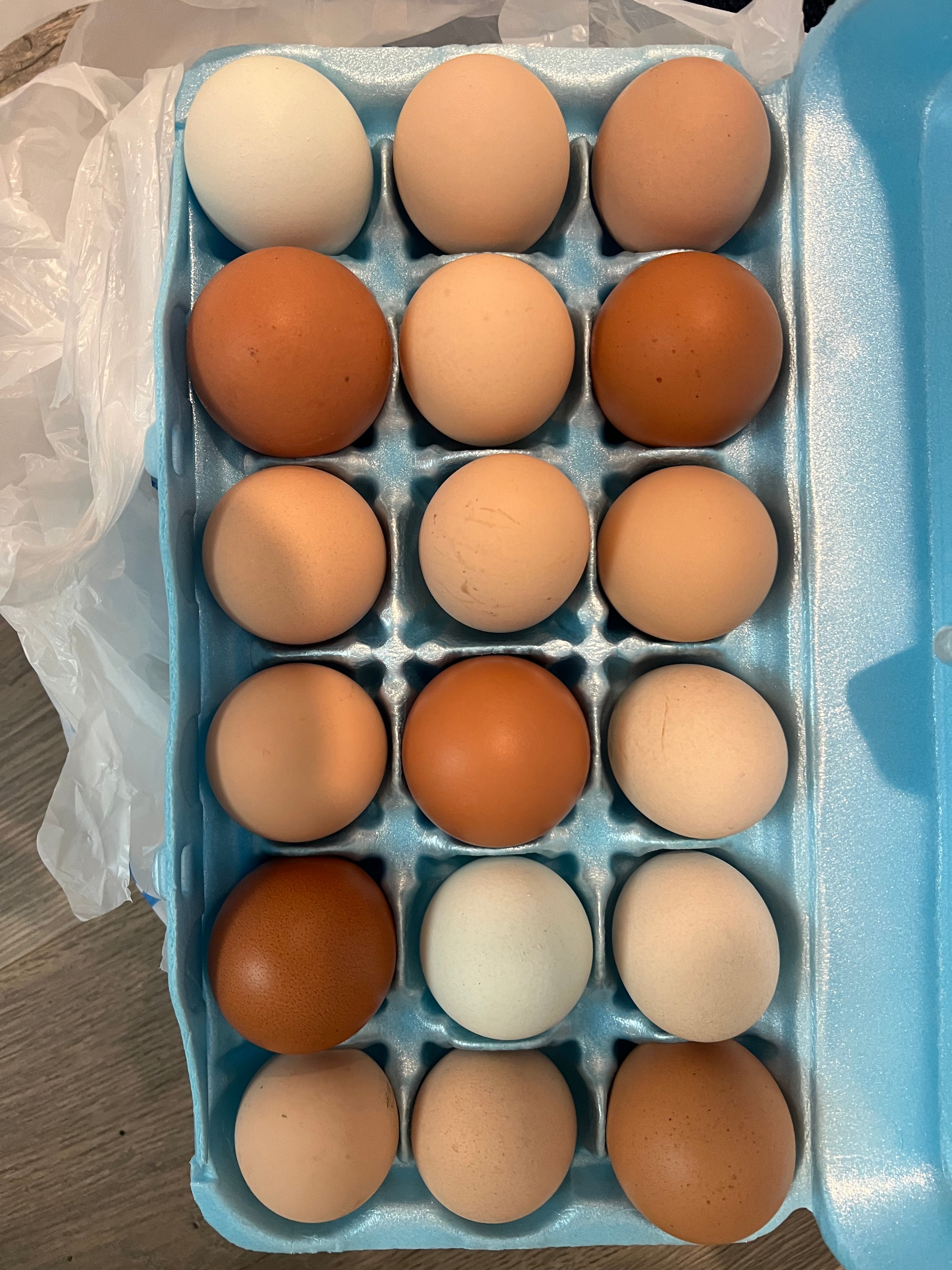 Chicken Eggs Fresh Farm Pasture Raised