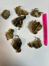 Load image into Gallery viewer, Baby Quail Freeze-Dried PET CANDY Treat
