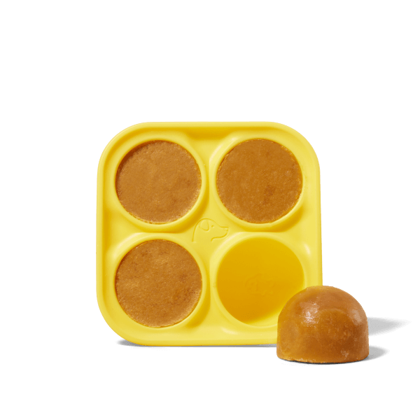 Pupsicle Treat Tray Only