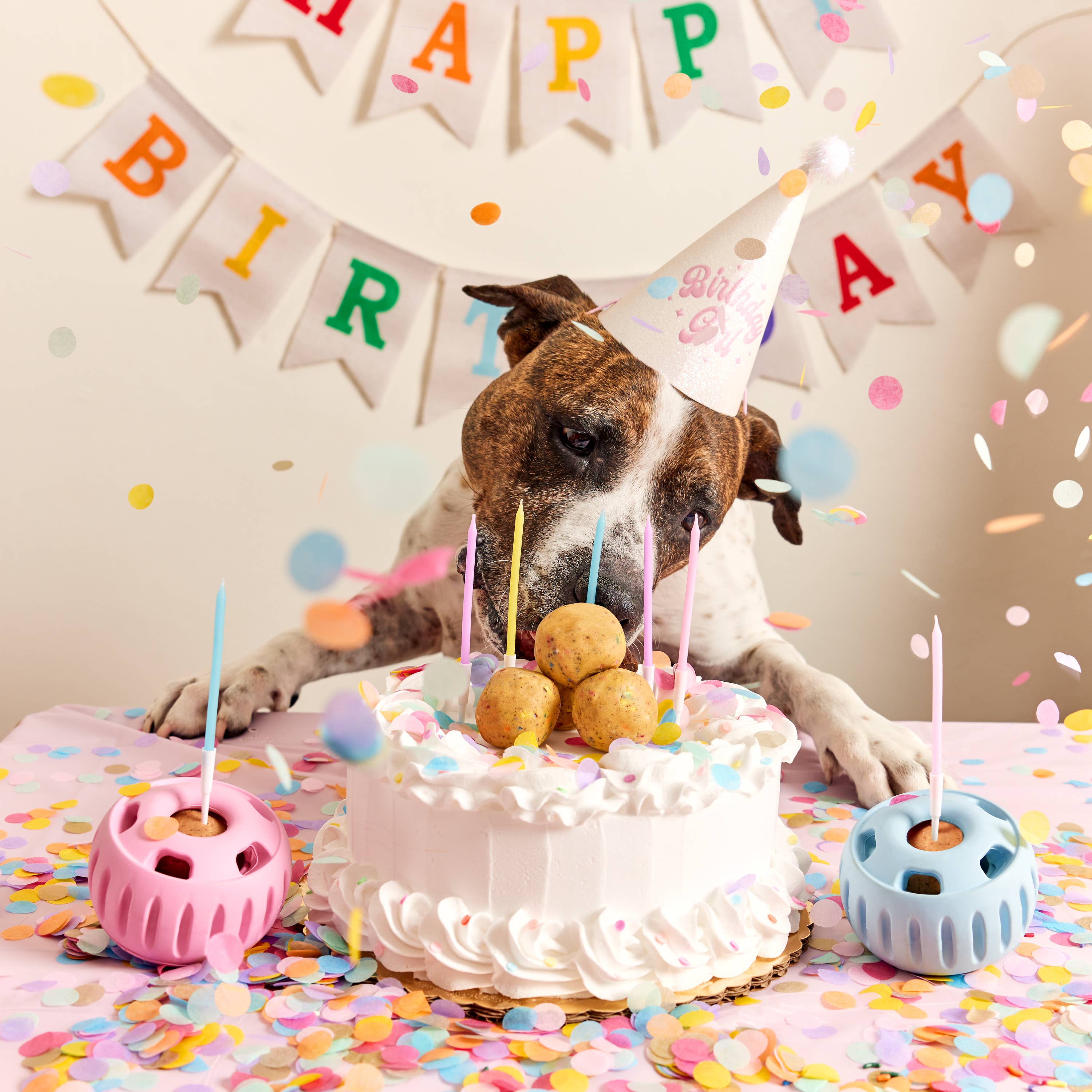 Birthday Pops Refill for Pupsicle