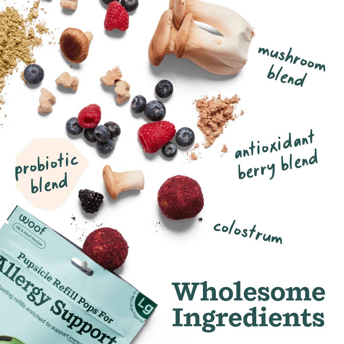 Allergy Support Wellness Pops Refill for Pupsical