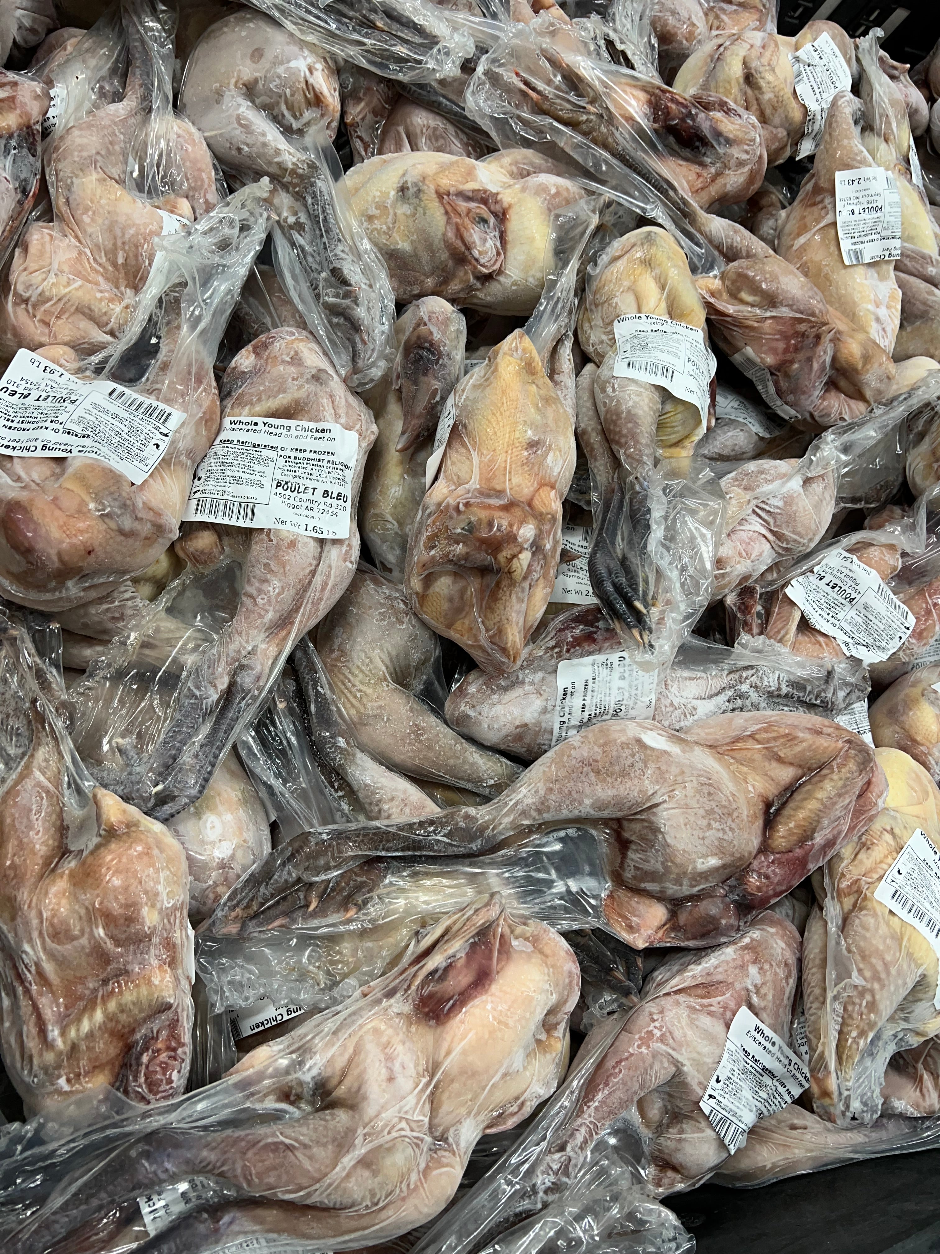 Poulet Bleu chickens, also known as Blue Foot chicken Chicken Whole