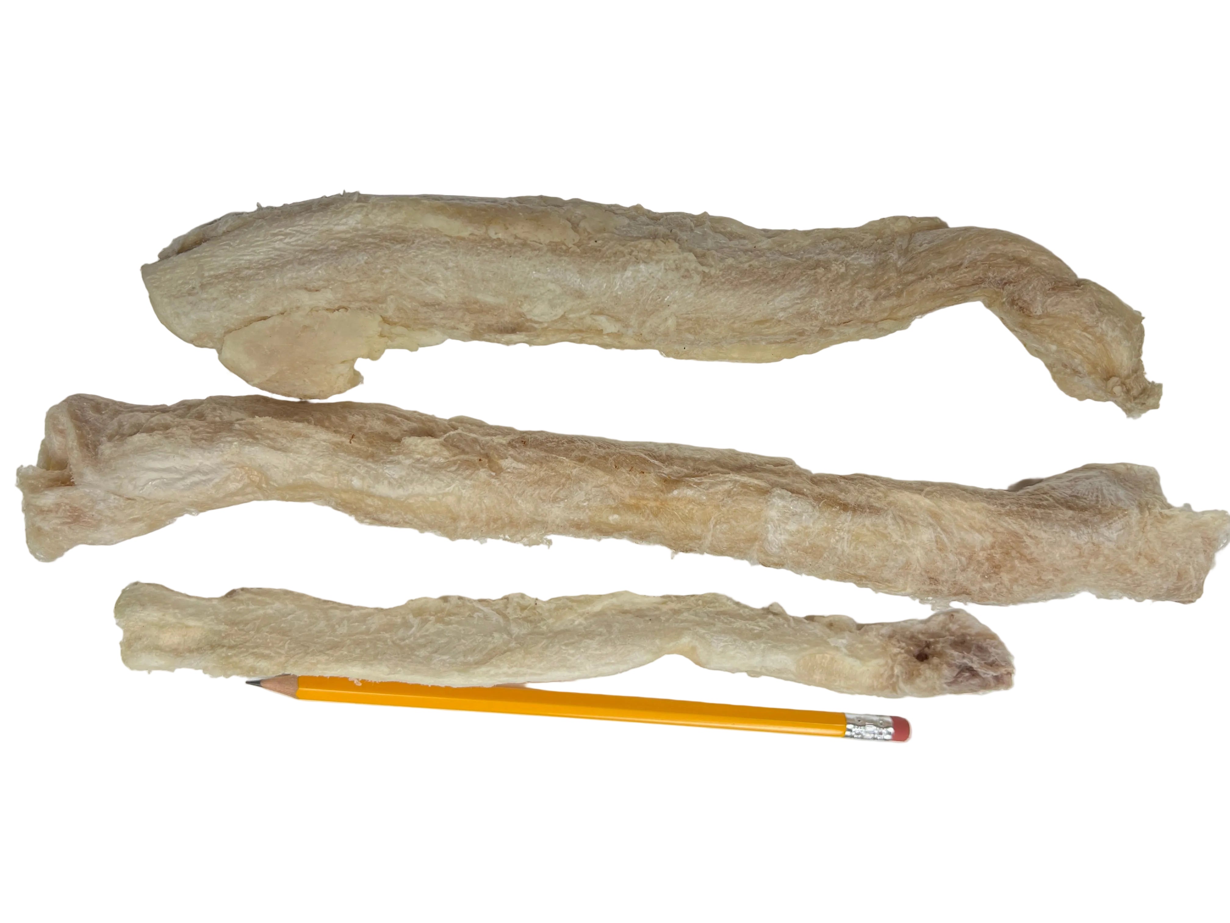 Beef Pizzle Freeze Dried