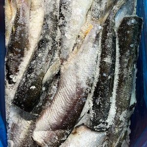 Herring, Fresh Fish Whole Prey