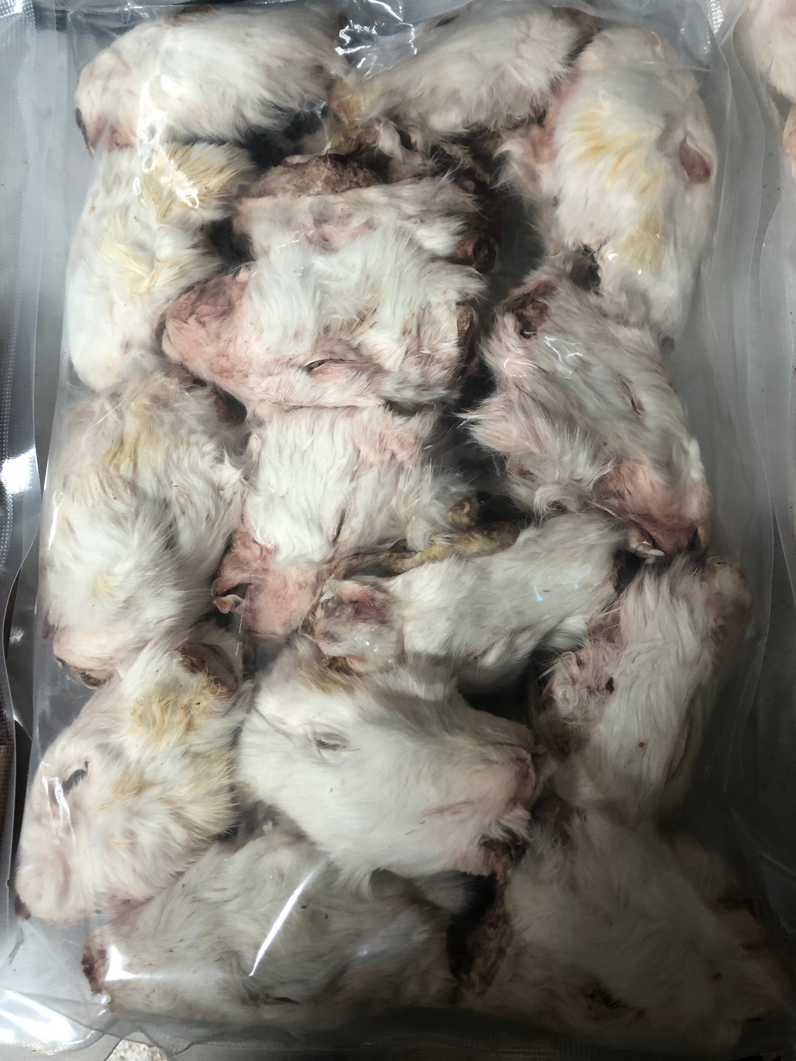 RABBIT Head, Dehydrated Freeze Dried **Treat Pet Candy