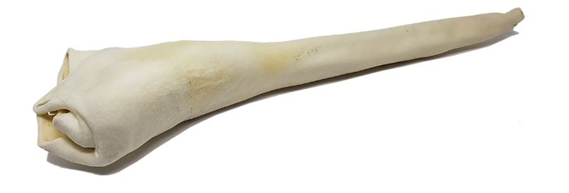 Beef Bull Tail  18-26" Dehydrated Treat