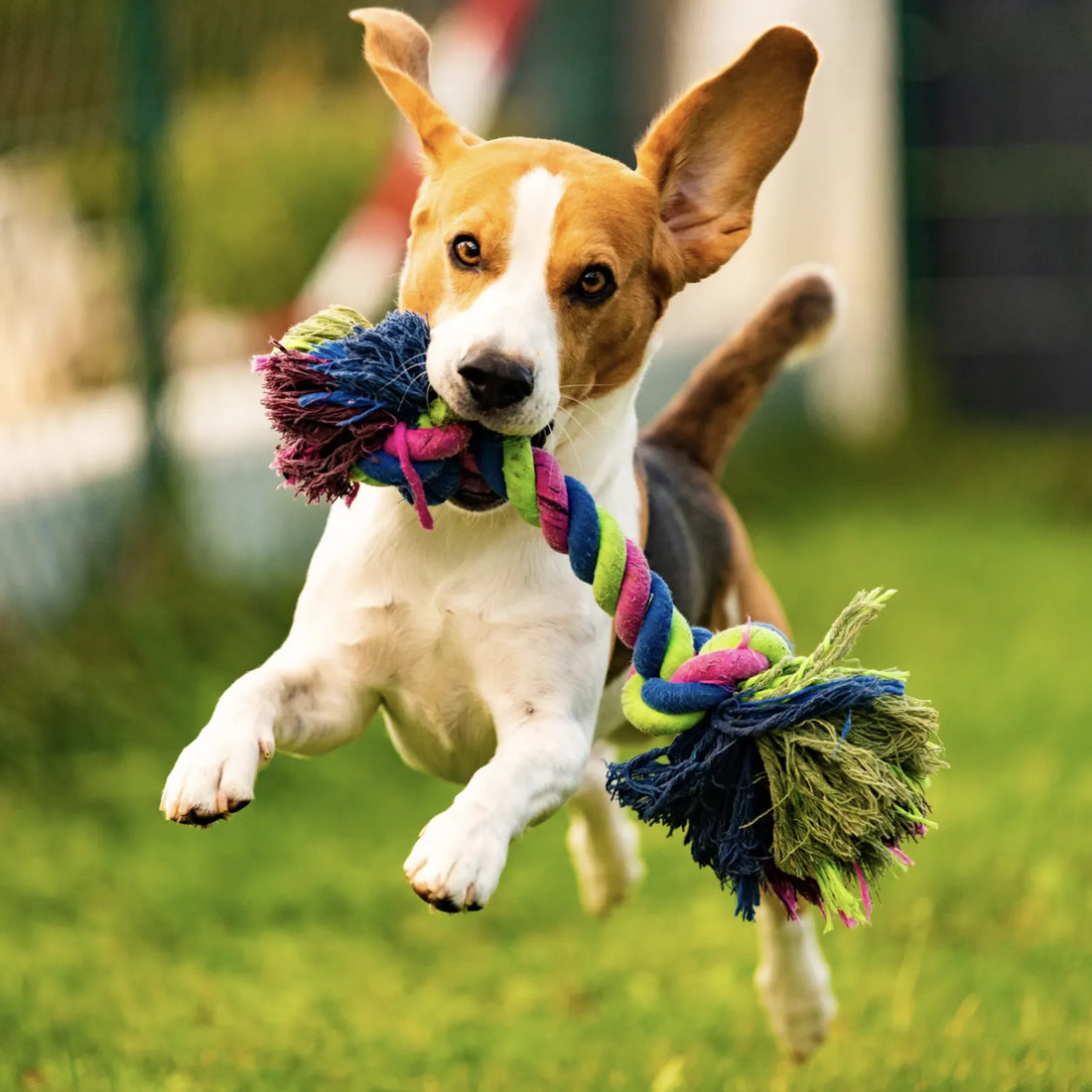 Less odor, better breath