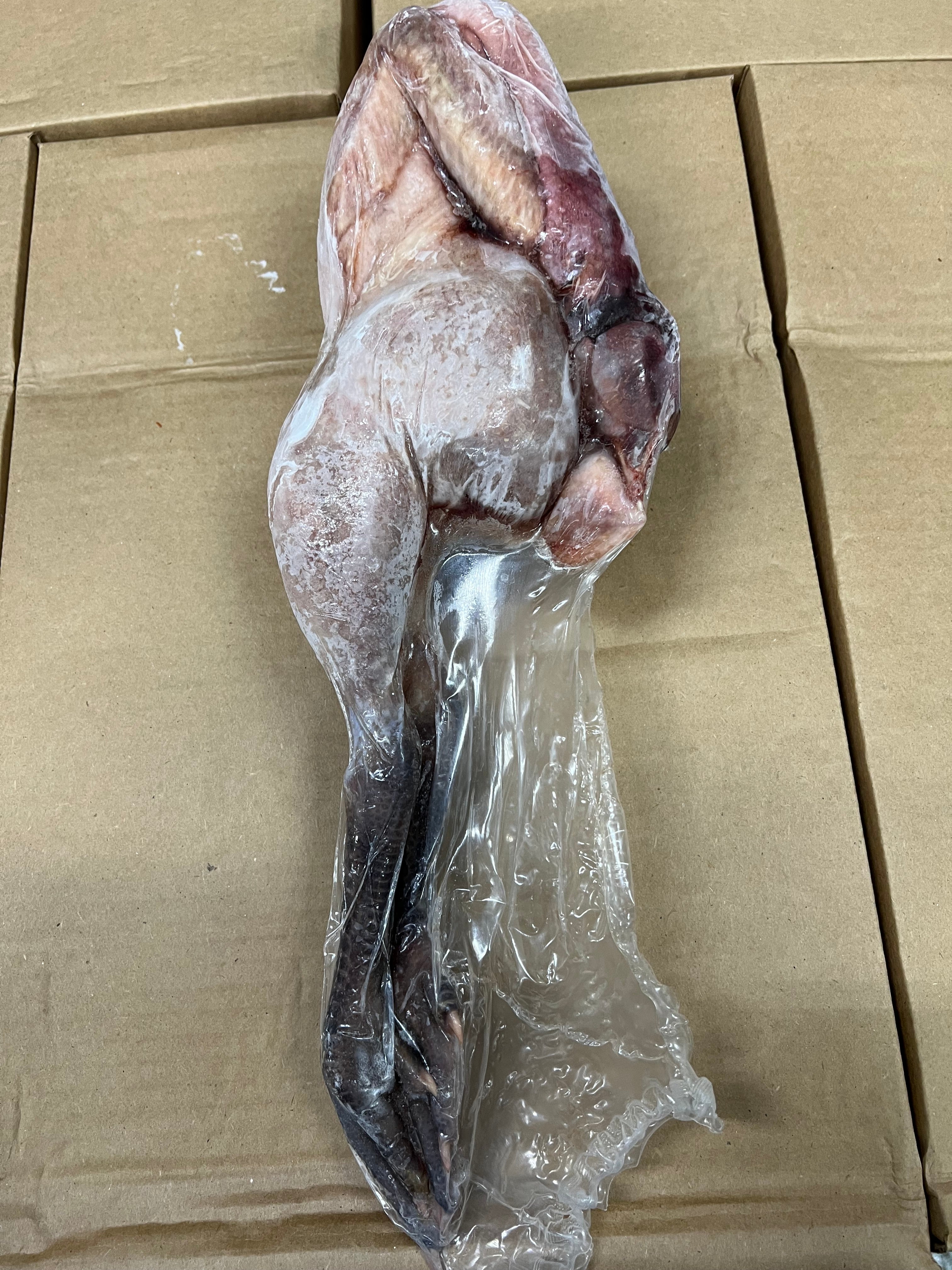 Poulet Bleu chickens, also known as Blue Foot chicken Chicken Whole