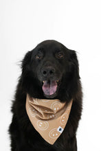 Load image into Gallery viewer, Dog Bandanas Made by Dog Bandana Co.
