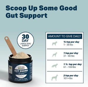 FOUR LEAF ROVER Gut Guard - Supports a healthy gut lining