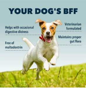 FOUR LEAF ROVER Bifido For Fido - Gut Health for Dogs