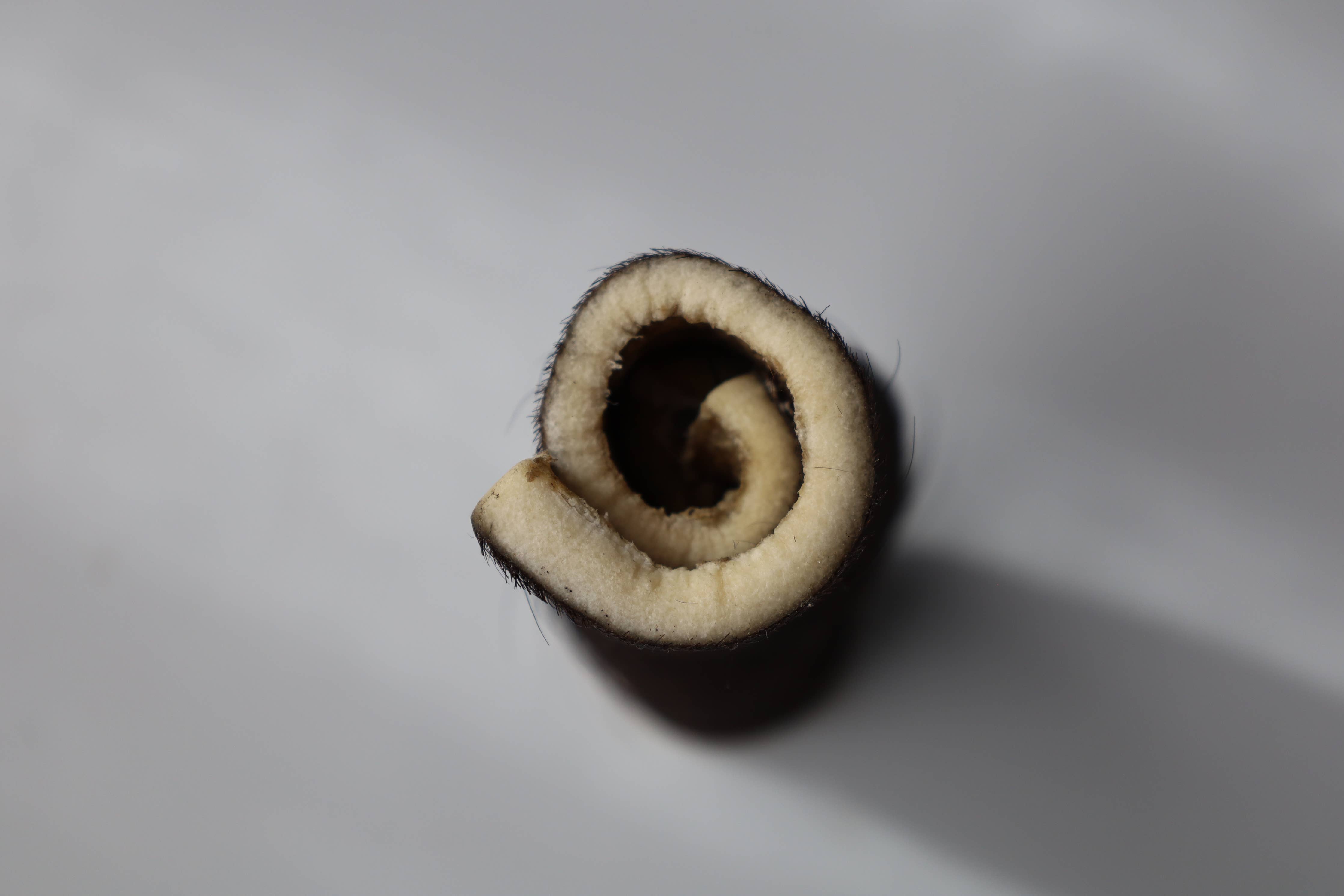Hairy Water Buffalo Cheek Rolls