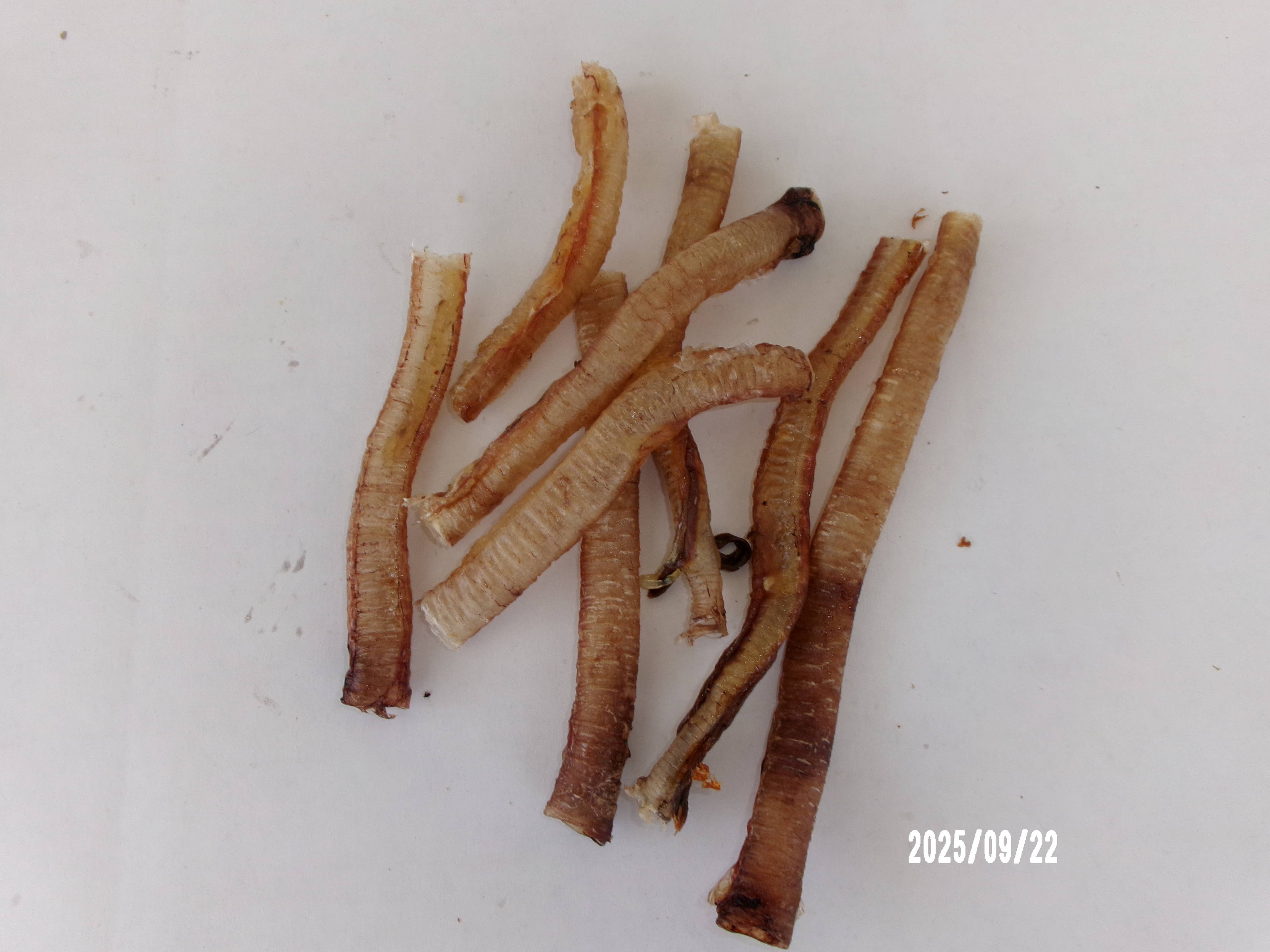 Turkey Trachea Dehydrated