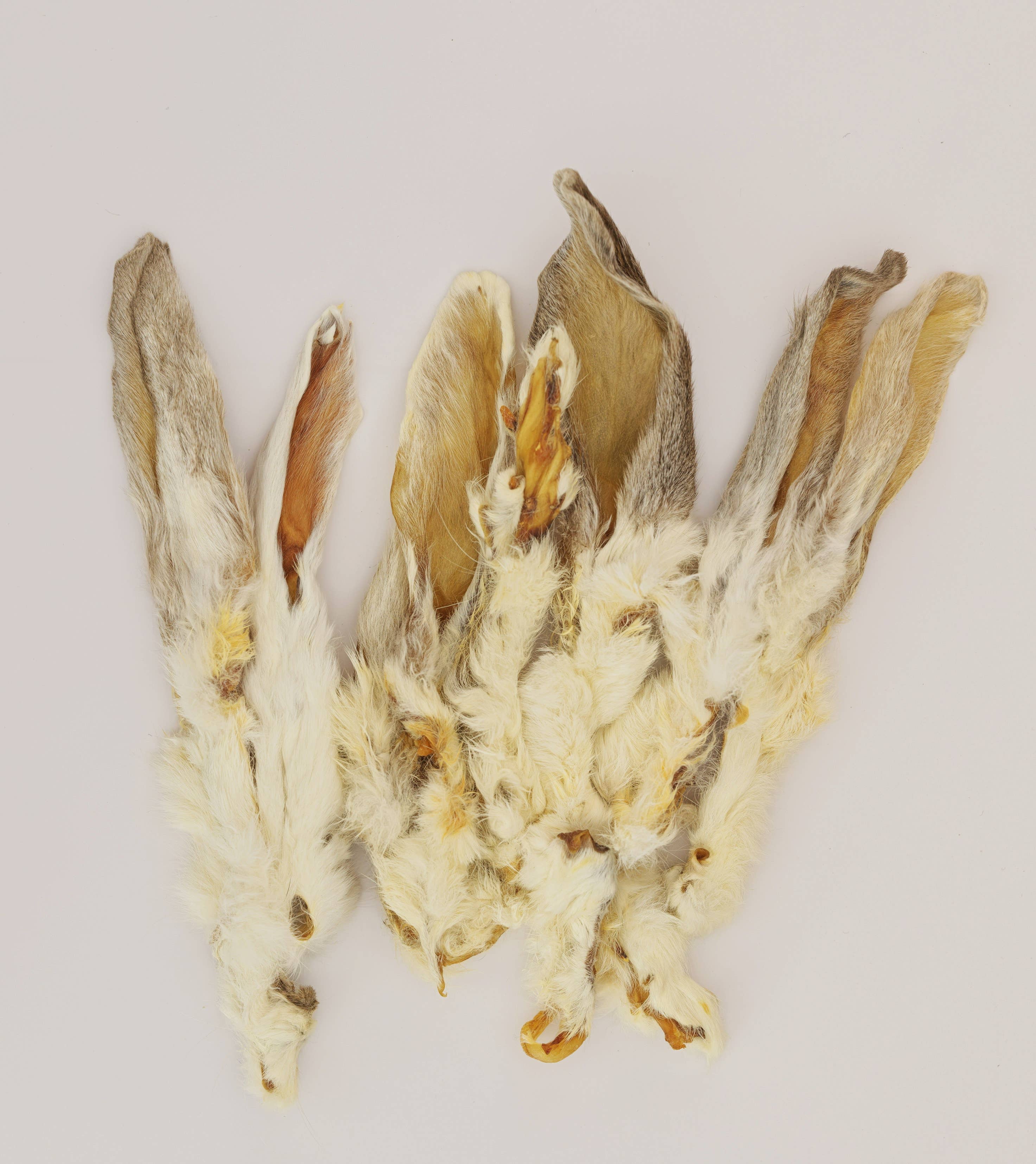 Rabbit Ears with Fur 10 Pack