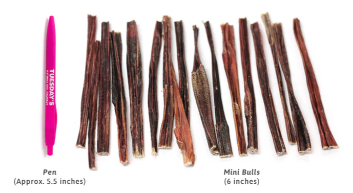 Mini BULL STICKS Odor Free 6" & 12" length