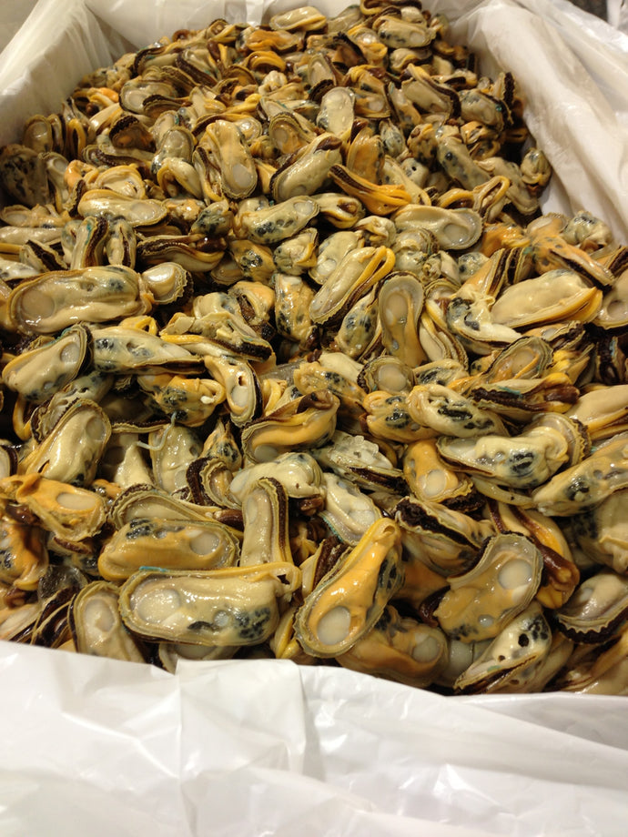 Mussel - Raw Whole *NO SHELL* New Zealand Green Lipped ...