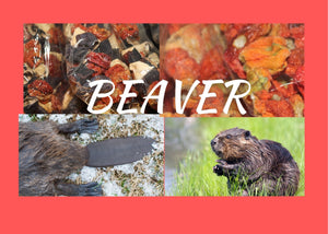 Beaver Mix Prey Model Blend