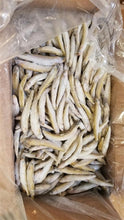 Load image into Gallery viewer, Smelt, Whole Fish Wild Caught
