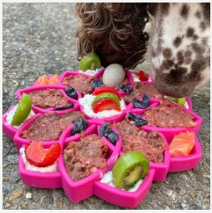 MANDALA ETRAY - ENRICHMENT TRAYS FOR DOGS - Multiply Colors