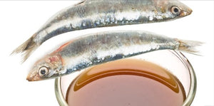 Answers Fish Stock/Broth Fermented Frozen