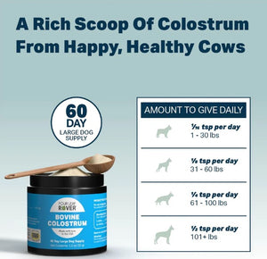 FOUR LEAF ROVER Bovine Colostrum - Immune Support for Dogs