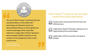 SILVER HONEY by ABSORBINE Wound Care