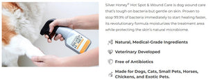SILVER HONEY by ABSORBINE Wound Care
