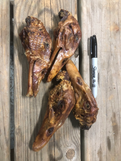 Dried duck sales heads for dogs
