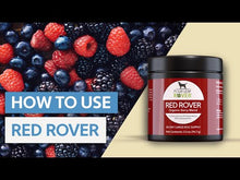 Load and play video in Gallery viewer, FOUR LEAF ROVER Red Rover - Organic Berry Blend
