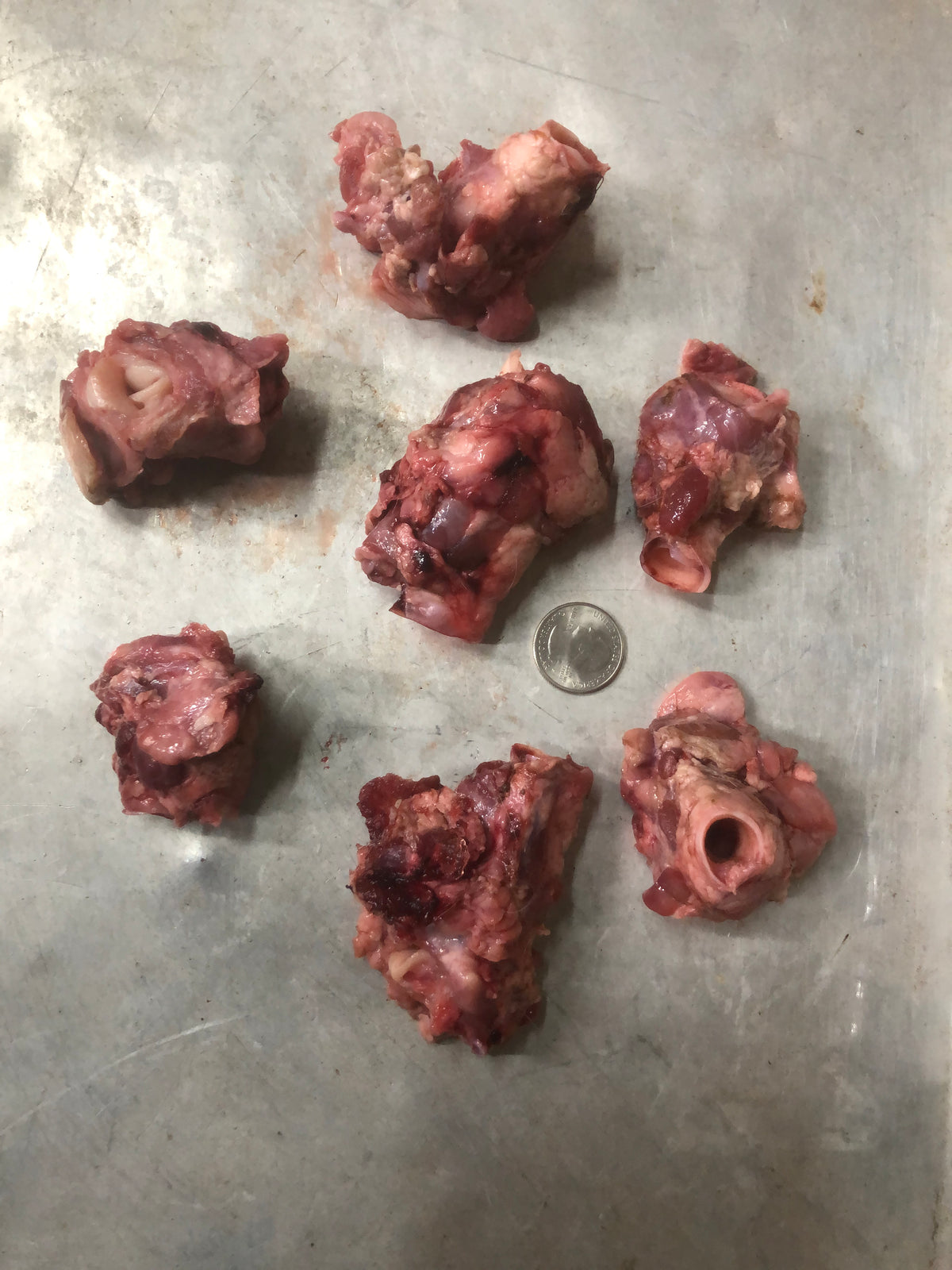Lamb Gullet, Whole, Raw – rawpetfooddeliverymarket