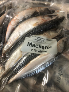 Mackerel Whole Prey Fish 2 Sizes