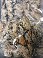 Load image into Gallery viewer, Freeze Dried New Zealand Green Mussels
