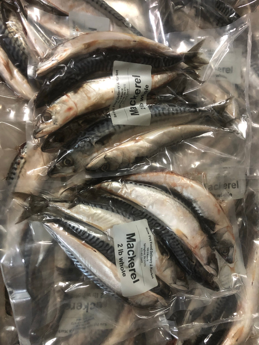 Mackerel Whole Prey Fish 2 Sizes rawpetfooddeliverymarket