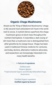 Adored Beast Apothecary Chaga Mushrooms Liquid Triple Extract