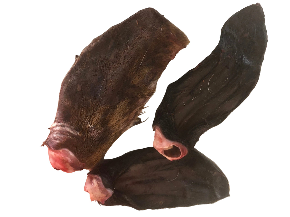 Goat or Lamb Ears - Raw, Whole 