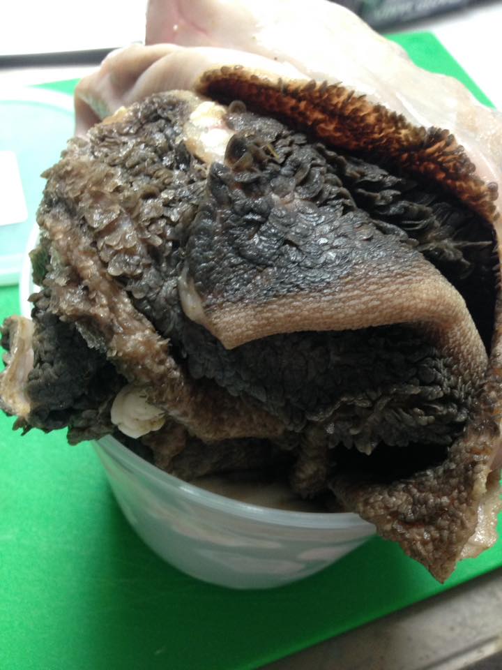 Goat Tripe, Whole or Ground