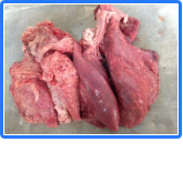 Goat Lung Raw