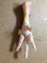Load image into Gallery viewer, Chicken Feet Fresh Whole
