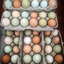 Load image into Gallery viewer, Chicken Eggs Pasture Raised Frozen or Fresh
